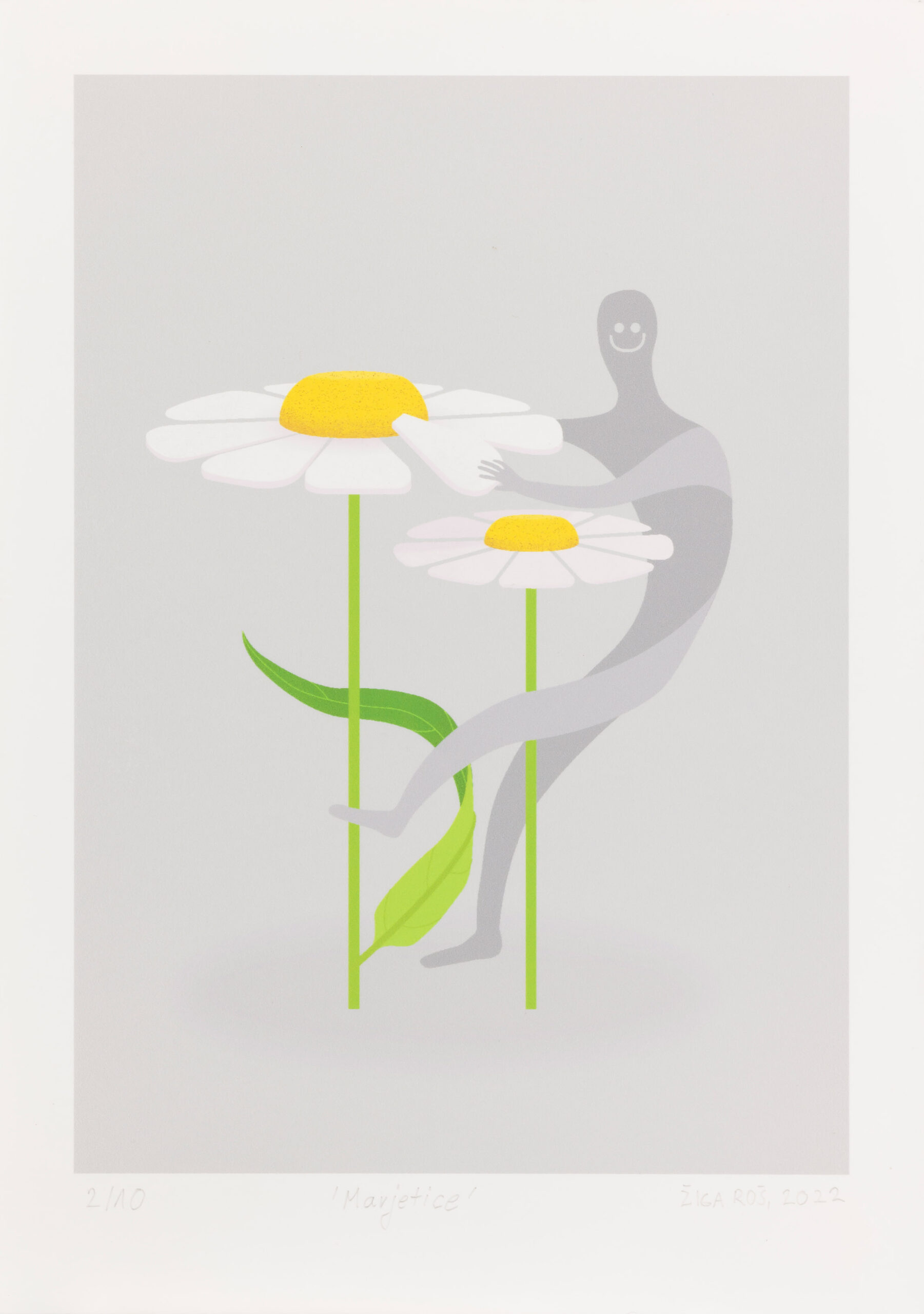 Žiga Roš: Marjetice