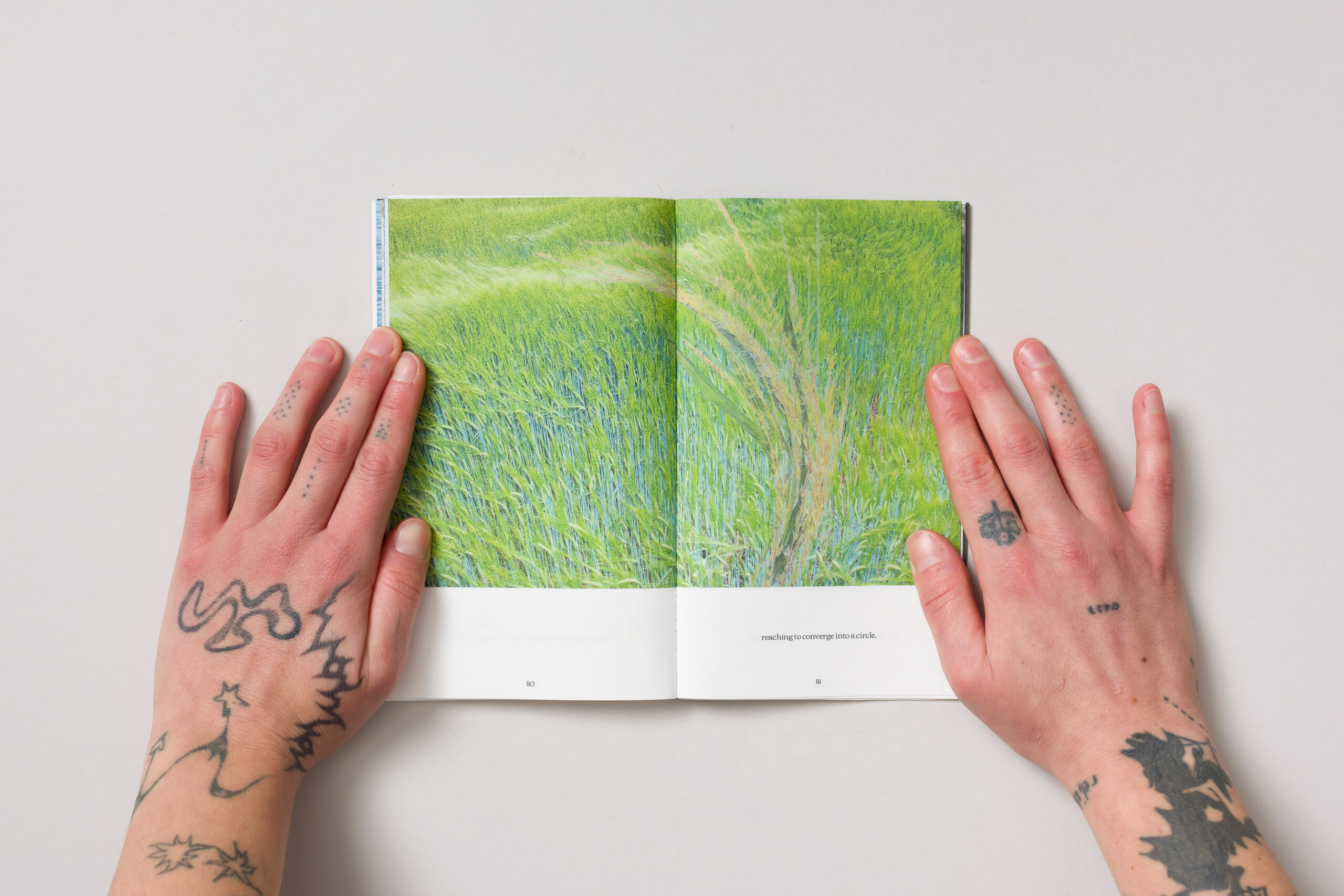 Župa: Župa poletje - slika 5