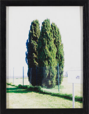 Julija Dodič: Ciprese (z okvrijem)