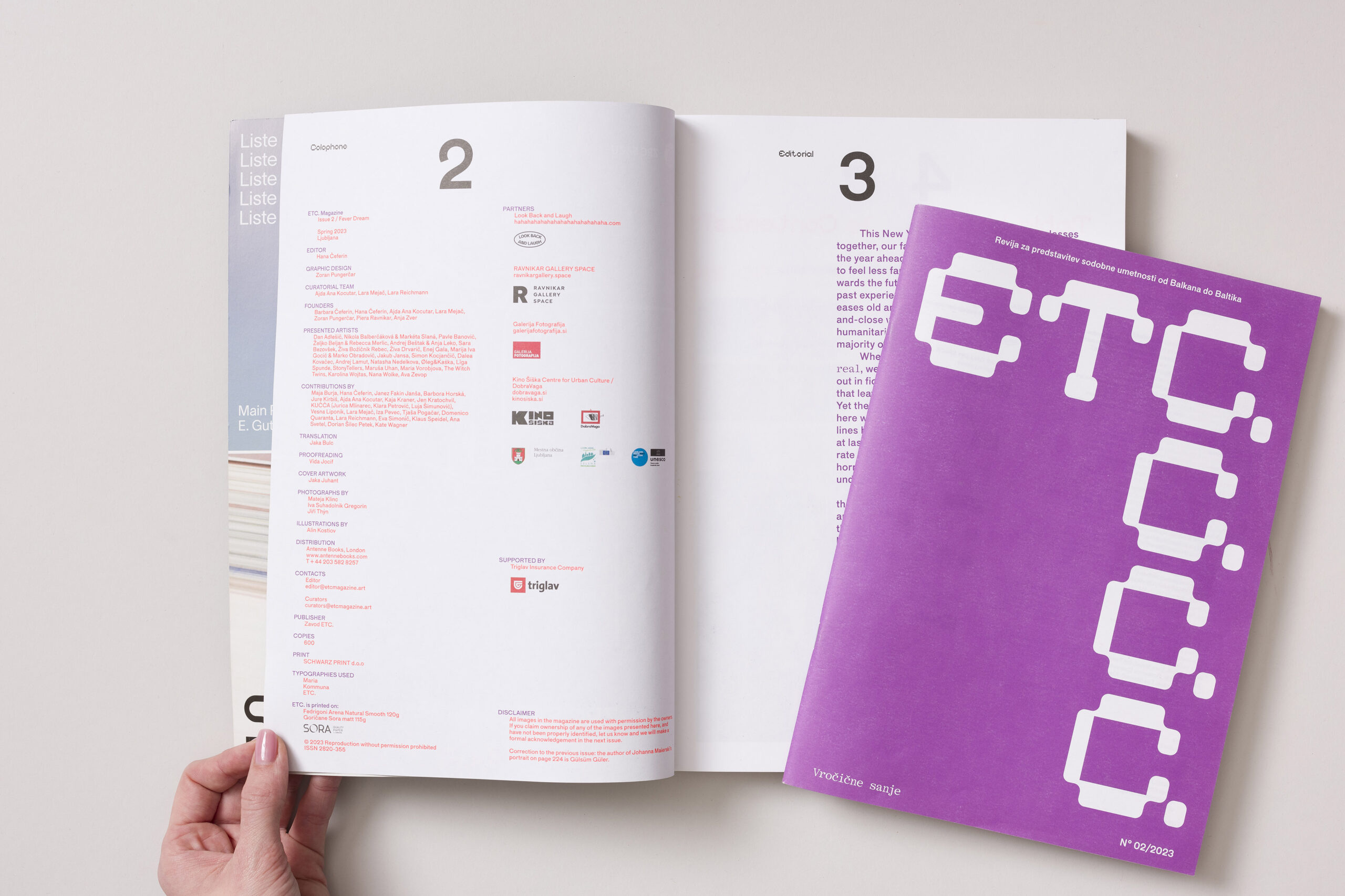 ETC. #2: Fever Dream - slika 2