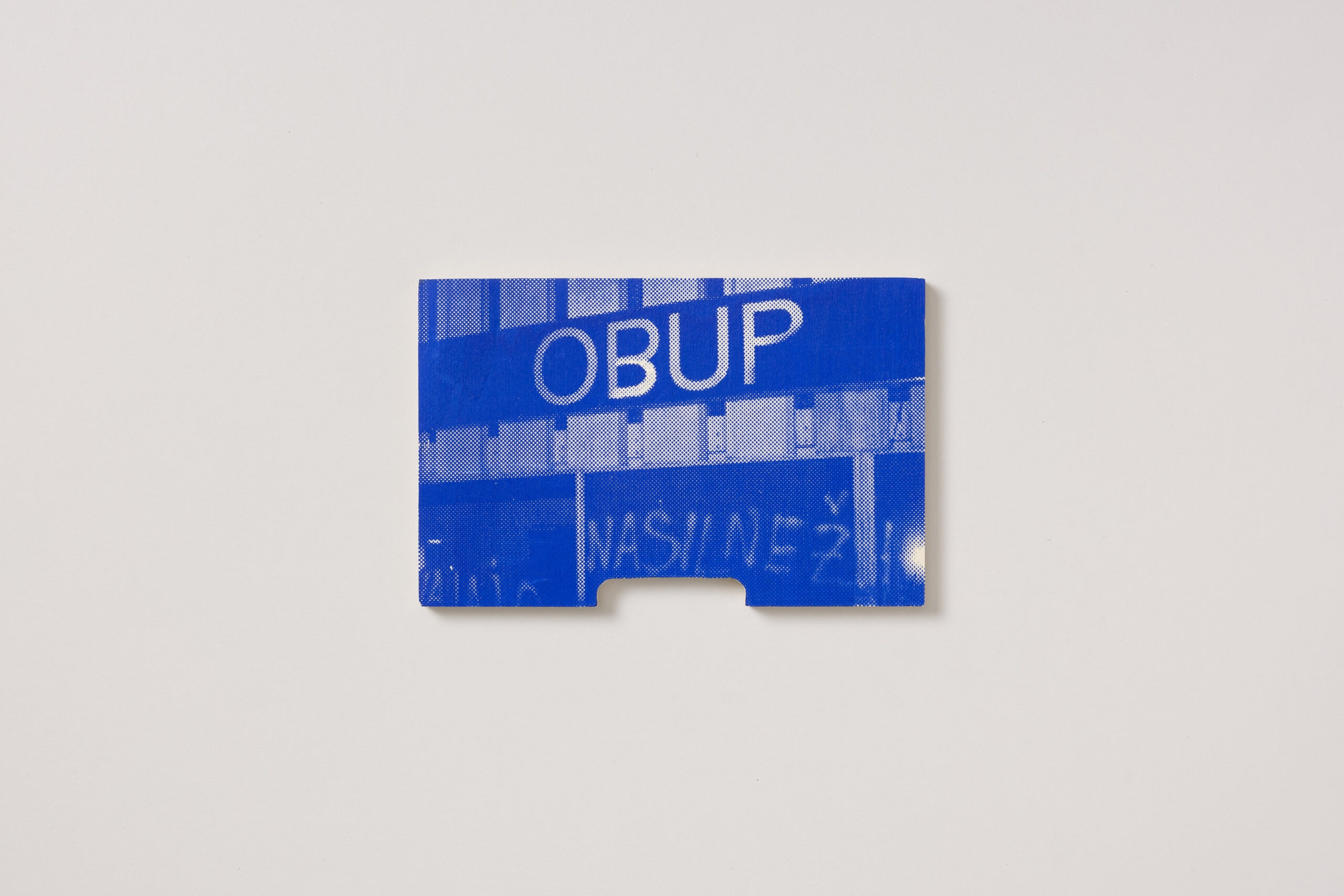 Valentin Radulović: Fotobup iz serije Turbofolk or 20 Beehive Fronts: A Reassessment of S(love)nian (Cult)ure